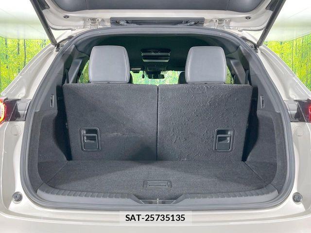Mazda CX-8 2021-05 7616049-10