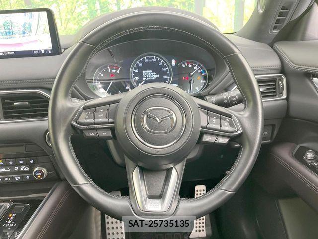 Mazda CX-8 2021-05 7616049-11