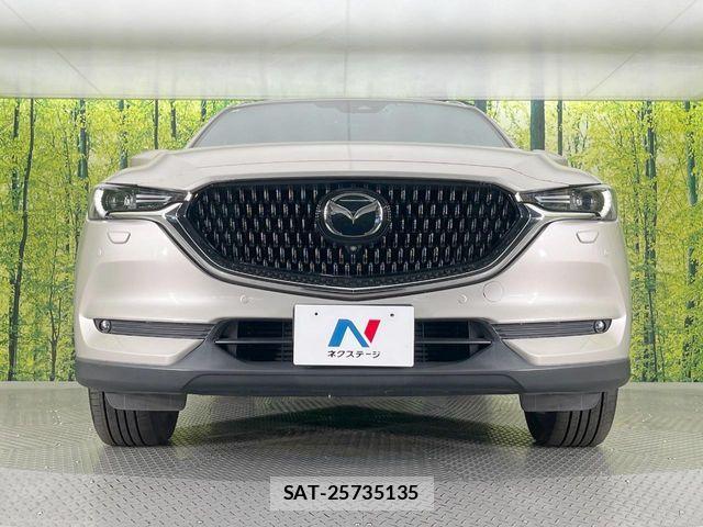 Mazda CX-8 2021-05 7616049-14