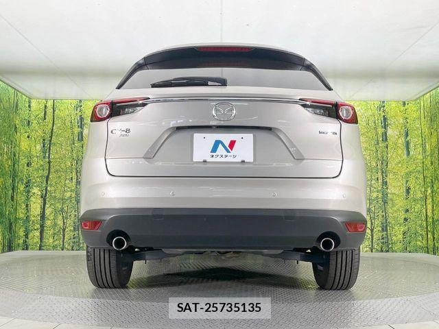 Mazda CX-8 2021-05 7616049-15