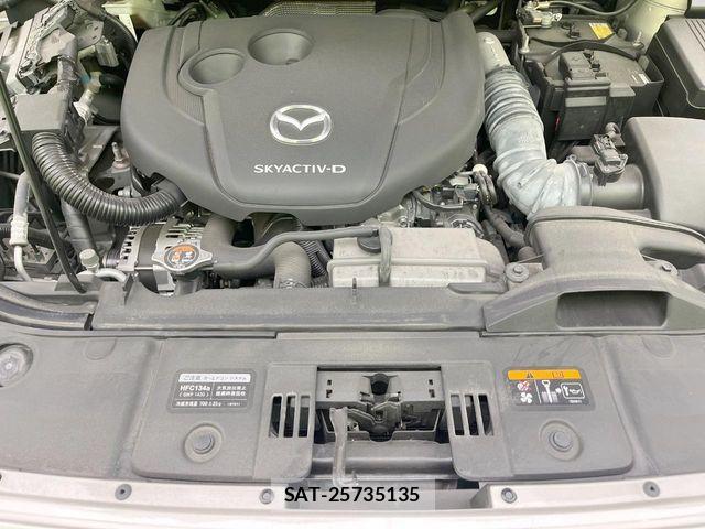 Mazda CX-8 2021-05 7616049-18