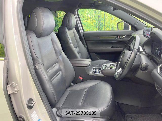 Mazda CX-8 2021-05 7616049-7