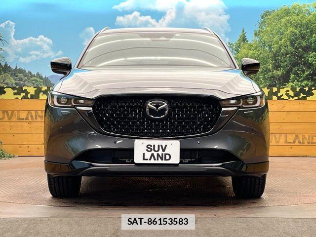 Mazda CX-8 2023-07 7784170-13