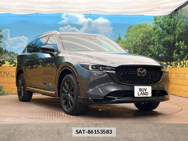 Mazda CX-8 2023-07 7784170-15