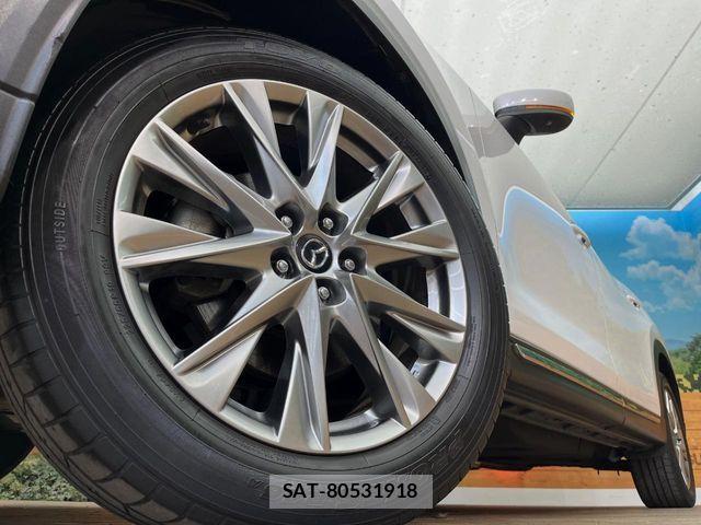 Mazda CX-8 2018-06 7876035-13