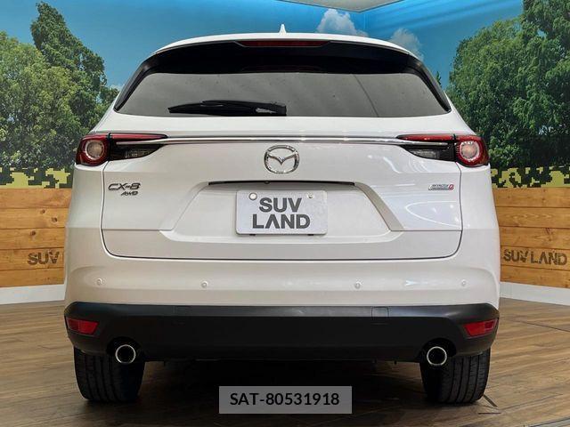 Mazda CX-8 2018-06 7876035-15