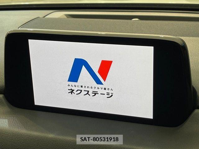 Mazda CX-8 2018-06 7876035-3
