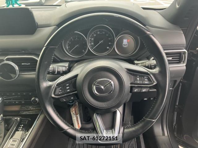 Mazda CX-8 2019-05 7978964-13
