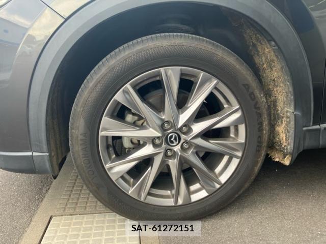 Mazda CX-8 2019-05 7978964-8