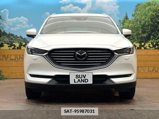 Mazda CX-8 2018-01 7978963-13