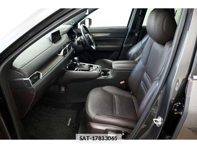 Mazda CX-8 2019-01 7978965-9
