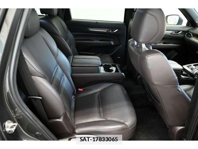 Mazda CX-8 2019-01 7978965-10