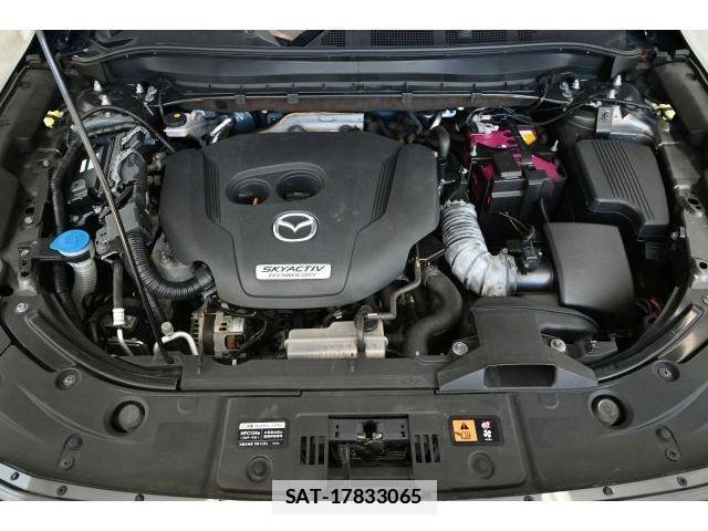 Mazda CX-8 2019-01 7978965-16
