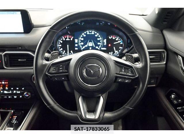 Mazda CX-8 2019-01 7978965-18
