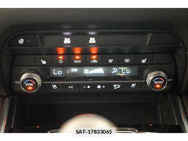 Mazda CX-8 2019-01 7978965-21