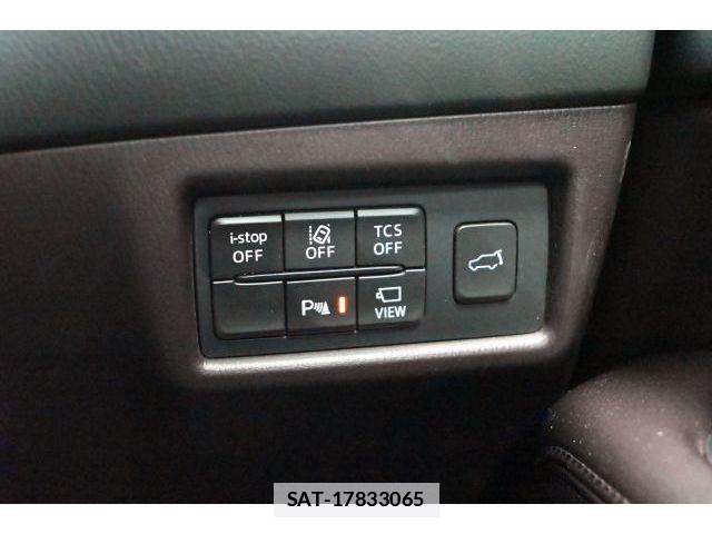 Mazda CX-8 2019-01 7978965-24