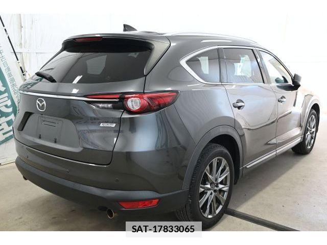 Mazda CX-8 2019-01 7978965-3