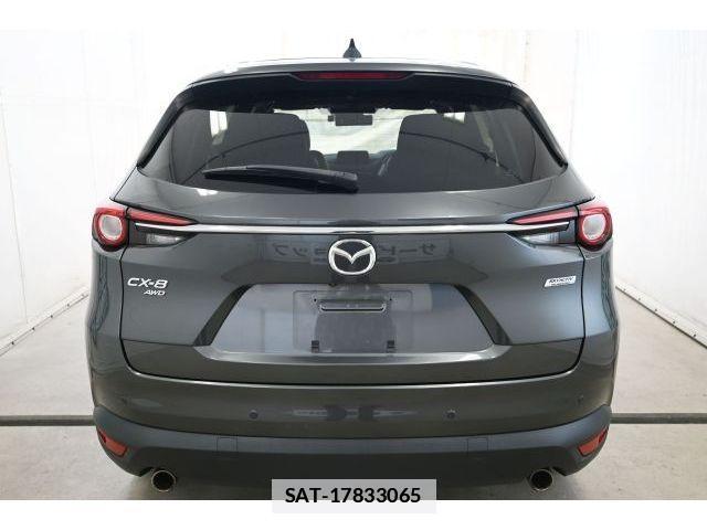 Mazda CX-8 2019-01 7978965-5