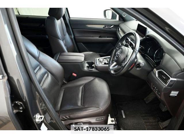 Mazda CX-8 2019-01 7978965-8