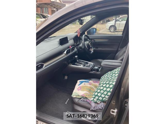 Mazda CX-8 2018-03 8035193-8