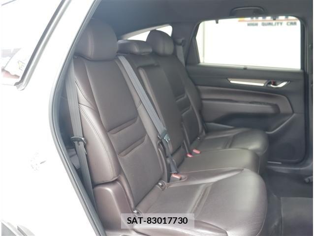 Mazda CX-8 2019-06 8035189-6