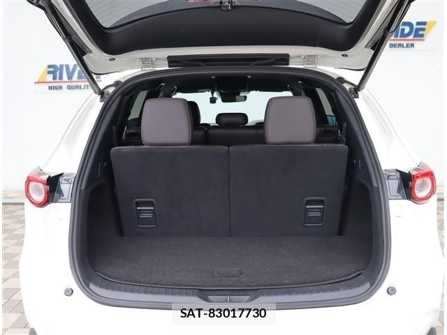 Mazda CX-8 2019-06 8035189-8