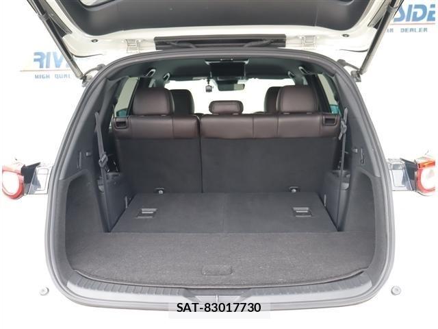Mazda CX-8 2019-06 8035189-9