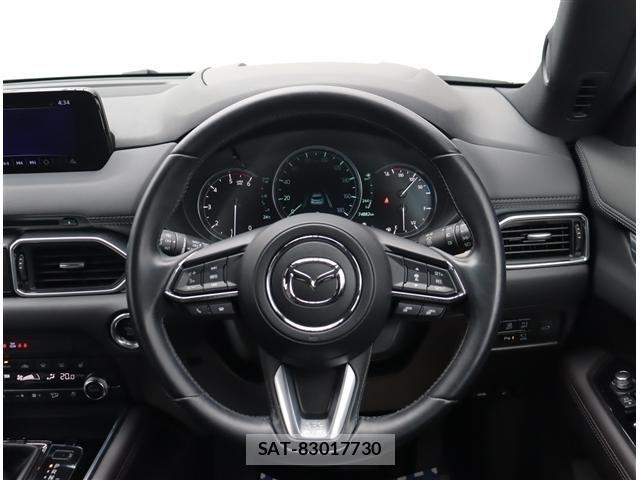 Mazda CX-8 2019-06 8035189-18