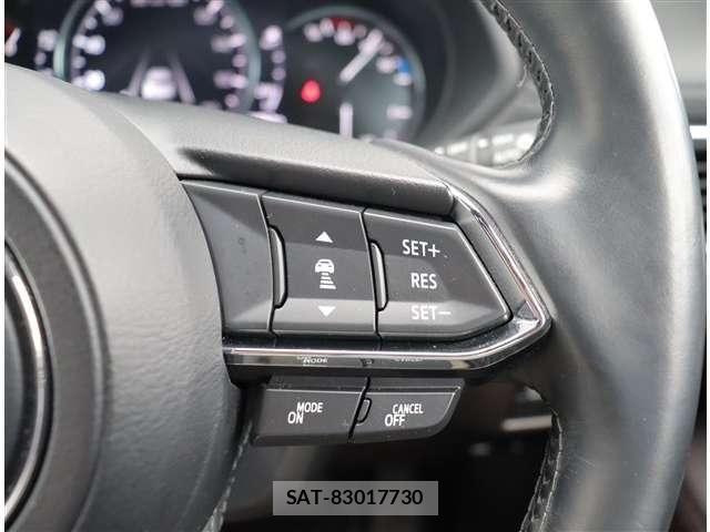 Mazda CX-8 2019-06 8035189-20