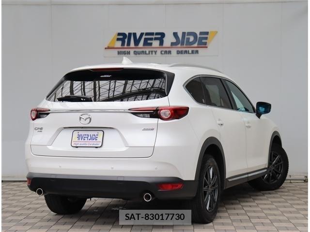 Mazda CX-8 2019-06 8035189-2
