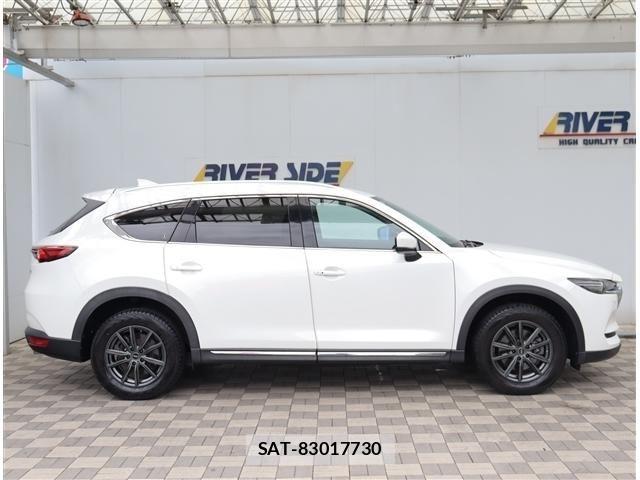 Mazda CX-8 2019-06 8035189-3