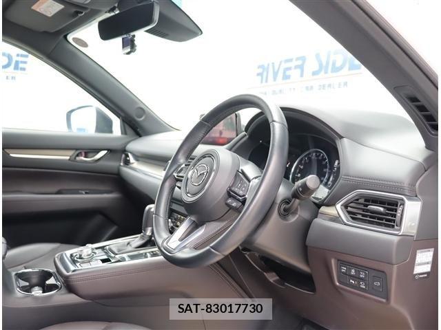 Mazda CX-8 2019-06 8035189-4
