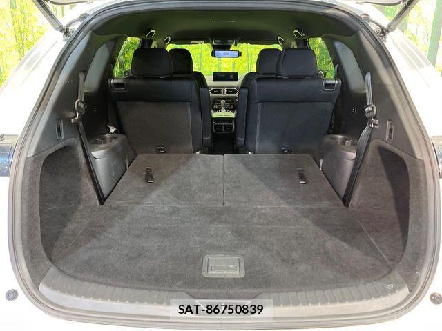 Mazda CX-8 2022-04 8035188-11