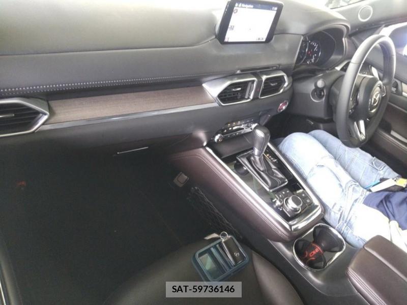 Mazda CX-8 2020-01 7784160-4