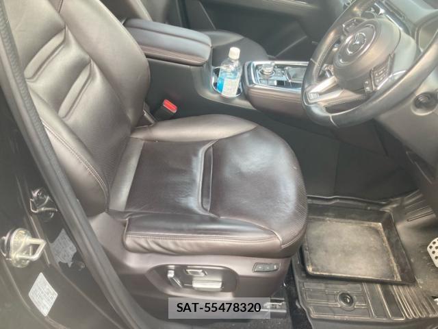 Mazda CX-8 2019-06 8073501-12