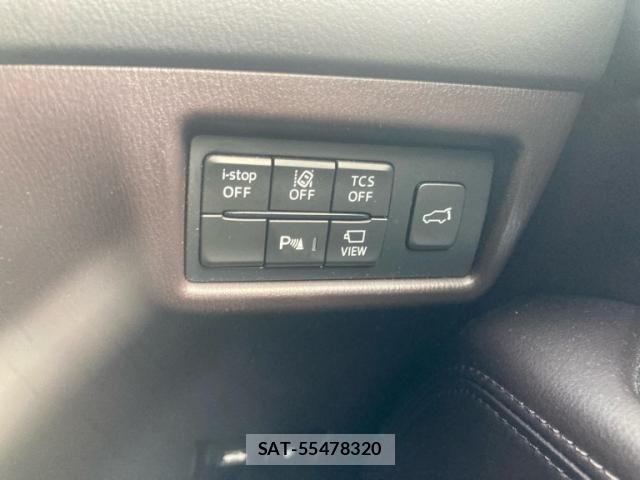 Mazda CX-8 2019-06 8073501-18