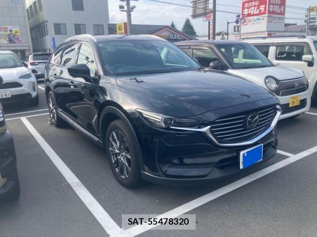 Mazda CX-8 2019-06 8073501-2