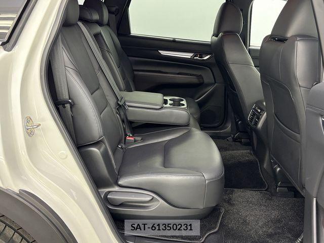 Mazda CX-8 2020-03 8073496-9
