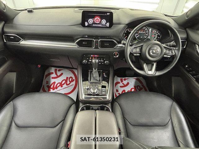 Mazda CX-8 2020-03 8073496-11