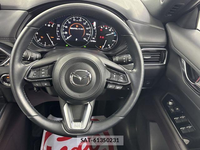 Mazda CX-8 2020-03 8073496-12