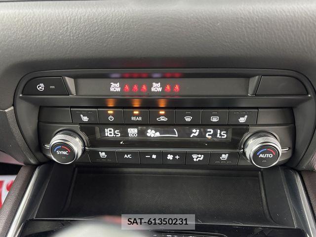 Mazda CX-8 2020-03 8073496-15