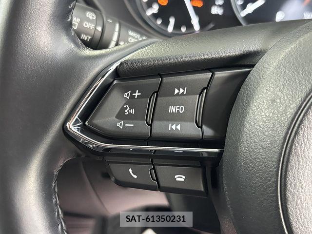 Mazda CX-8 2020-03 8073496-16