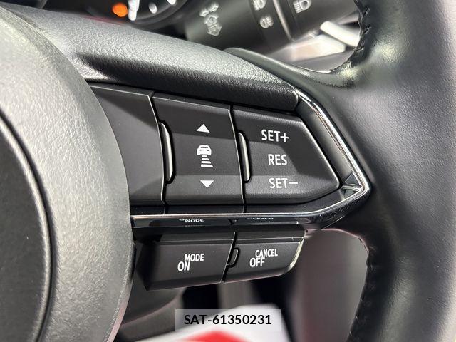 Mazda CX-8 2020-03 8073496-17