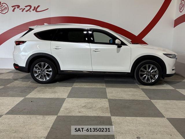 Mazda CX-8 2020-03 8073496-20