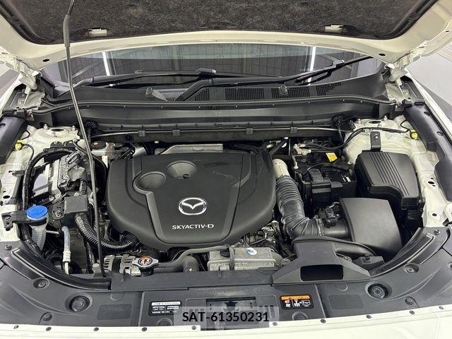 Mazda CX-8 2020-03 8073496-6