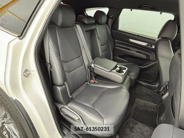 Mazda CX-8 2020-03 8073496-8