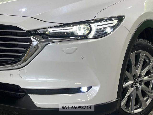 Mazda CX-8 2017-11 8073497-11