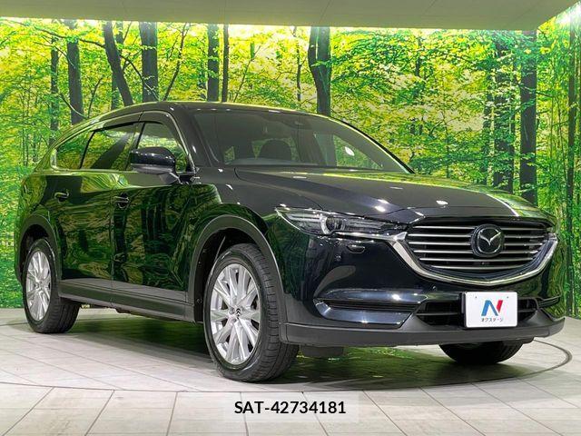 Mazda CX-8 2018-06 8073500-16