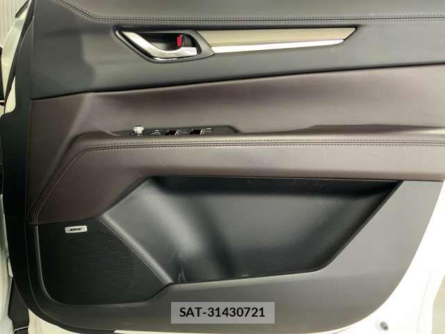 Mazda CX-8 2019-01 8073498-13