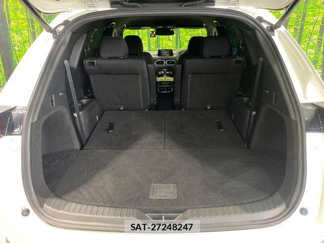 Mazda CX-8 2018-05 8098793-10